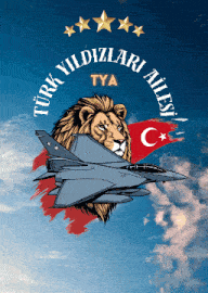 a picture of a fighter jet with a lion 's head and the word tya on it
