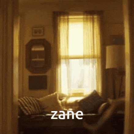 a living room with a couch and a window with the word zane written on it