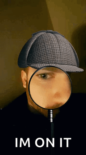 Inspectore Search GIF - Inspectore Inspector Search GIFs