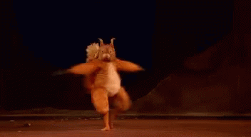 Dancing Squirrel GIF - Dancing Squirrel GIFs