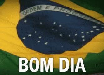Bom Dia Bandeirado Brasil GIF - Bom Dia Bandeirado Brasil Flag GIFs