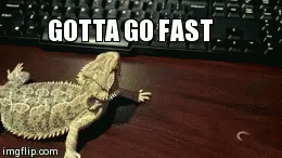 Gotta Go Fast GIF - Lizard Worm Gotta Go Fast GIFs