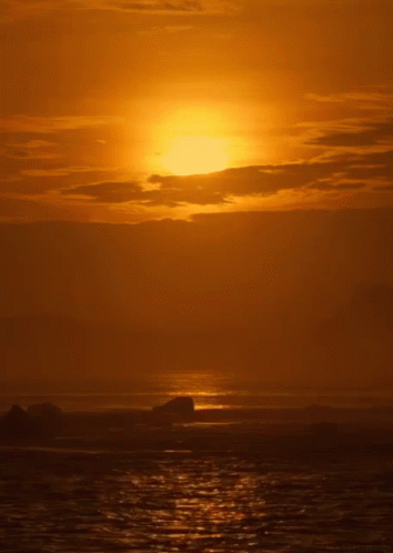 Sunset From Http://Headlikeanorange.Tumblr.Com/ GIF - Sunset Ocean GIFs