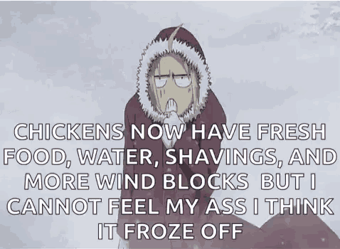 chickens now have fresh food , water , shavings , and more wind blocks but i cannot feel my ass i think