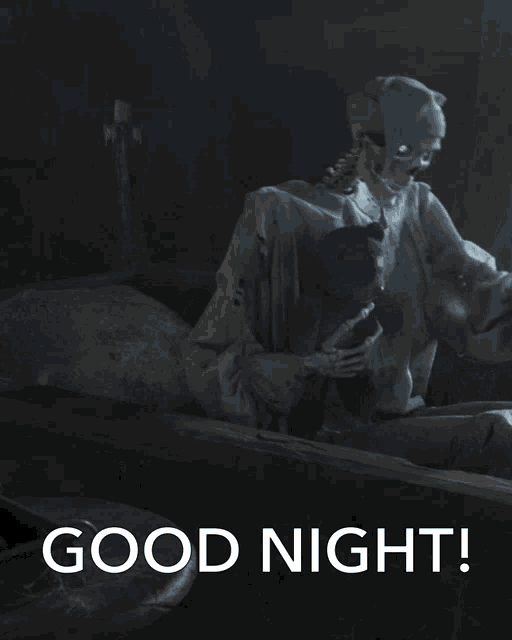 a picture of a skeleton in a coffin with the words good night written below it