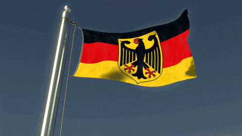 a flag with an eagle on it flies in the wind