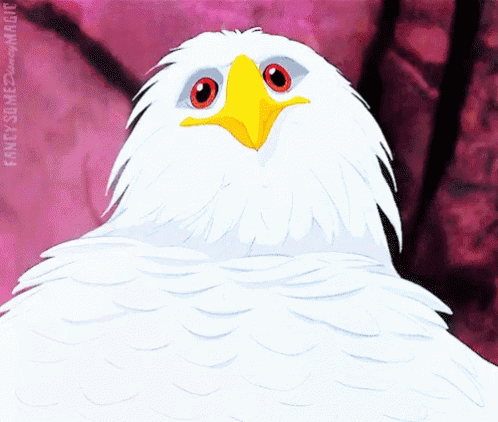 Marahute Bird GIF - Marahute Bird Eagle GIFs