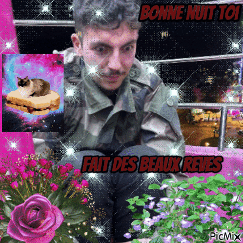 a picture of a man with a cat on a sandwich and the words bonne nuit toi fait des beaux reves