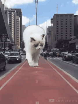 a giant white cat is walking down a red bike lane in a city .
