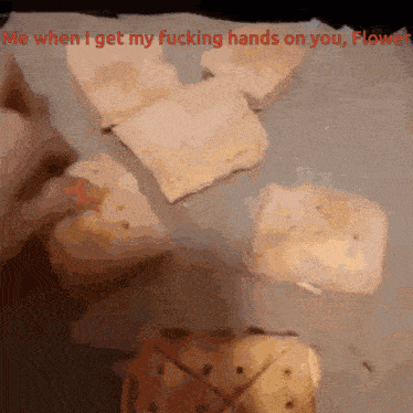 a drawing of a person holding a piece of bread with the words " me when i get my fucking hands on you flower "