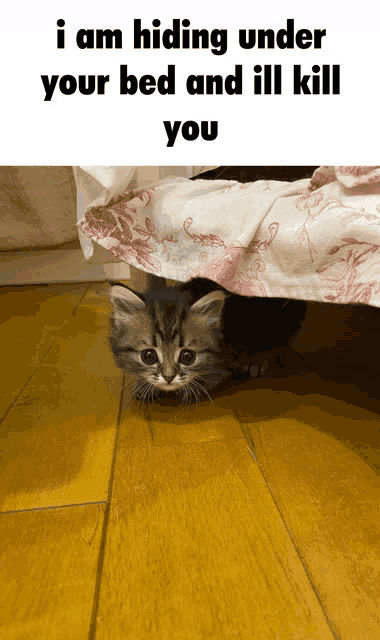 a kitten is hiding under a bed with a caption that says i am hiding under your bed and ill kill you