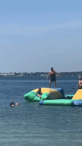 Jumping Into GIF - Jumping Into Monday GIFs