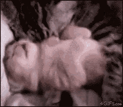 a baby is wrapped in a blanket and sleeping on its back .