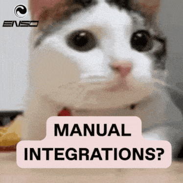 a close up of a cat with the words " manual integrations " below it