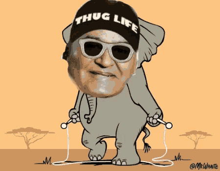 a cartoon of an elephant with a man wearing a hat that says thug life