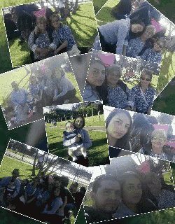 a collage of pictures shows a group of people sitting on the grass