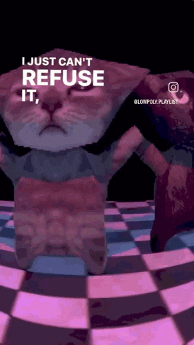 a cat is standing on a checkered floor with the words i just can 't refuse it