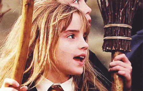 Idiot GIF - Harry Potter Hermione Granger Emma Watson GIFs