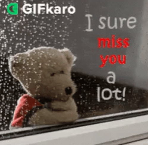 I Sure Miss You A Lot Gifkaro GIF - I Sure Miss You A Lot Gifkaro Wishes GIFs