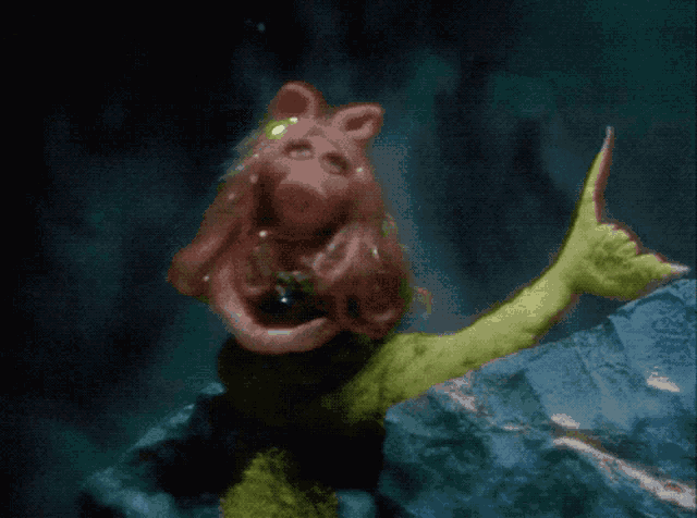 Muppet Show Muppets GIF - Muppet Show Muppets Kermit The Frog GIFs