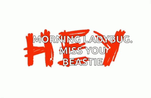 Morning Lady Bug Miss You GIF - Morning Lady Bug Miss You Beautiful GIFs