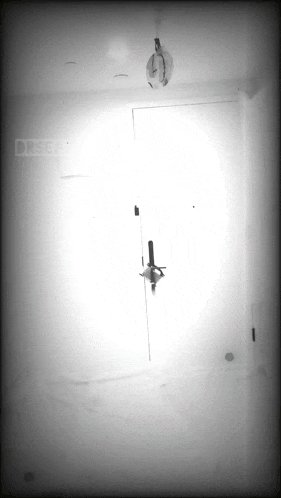 a black and white photo of a door with the word drse on the bottom