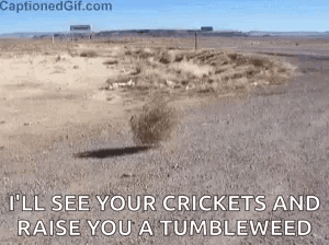 Tumbleweed Desert GIF - Tumbleweed Desert Deserted GIFs