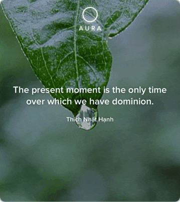 a picture of a leaf with a quote on it
