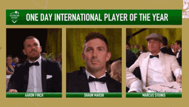 One Day Player GIF - One Day Player International Player Of The Year GIFs