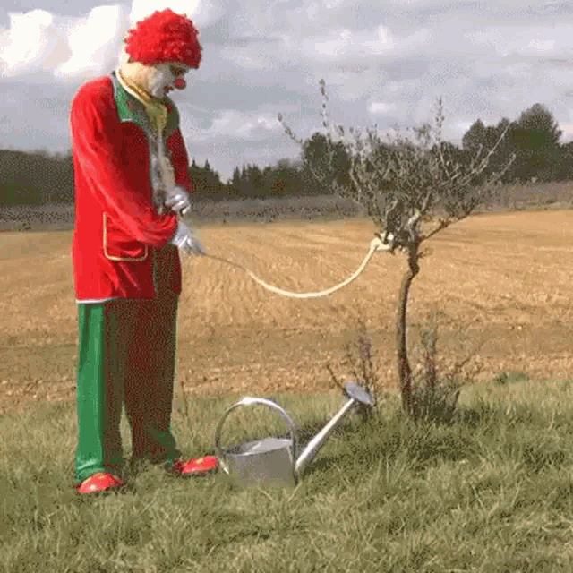 a clown is watering a tree in a field with a watering can