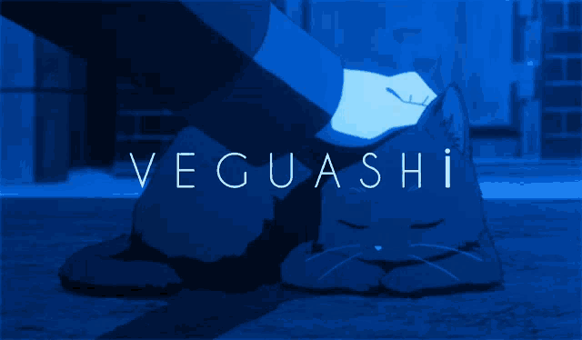 a person petting a cat with the word veguashi written on it