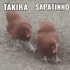 two brown chickens standing next to each other on a dirt field .