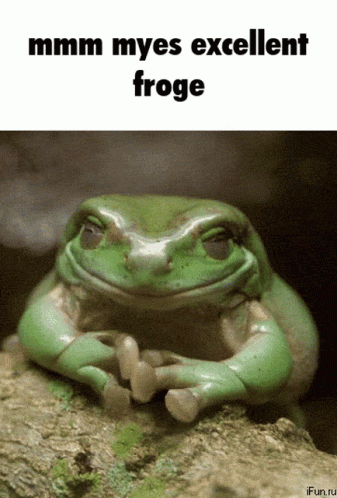 Froge GIF - Froge GIFs