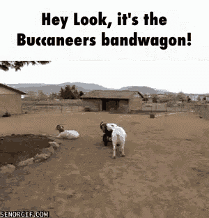 Goats GIF - Bandwagon Bandwagonfan Bandwagonsportsfan GIFs