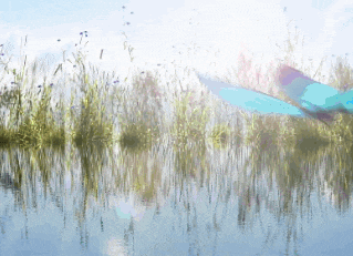 a blue bird is flying over a lake