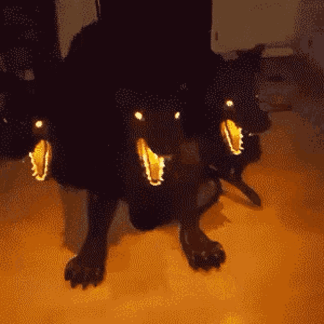 a black dog with three teeth is sitting on a wooden floor .