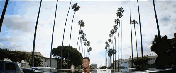 a man is standing in front of palm trees in a residential area