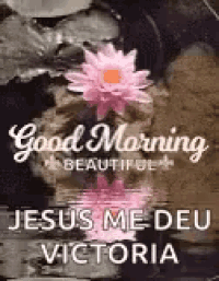 a good morning beautiful jesus me deu victoria with a pink flower in the water