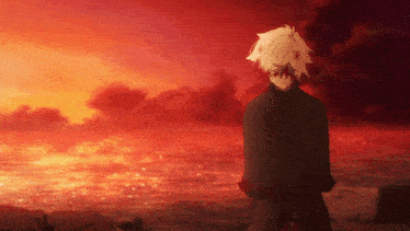 a man with white hair stands in front of a sunset over the ocean