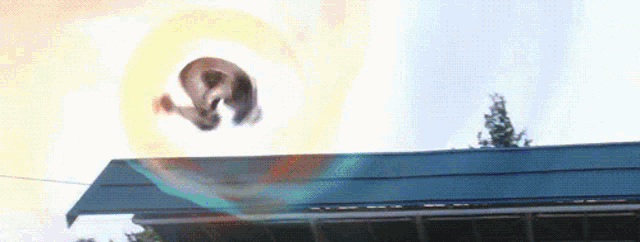 a cat is jumping off the roof of a building in the air .