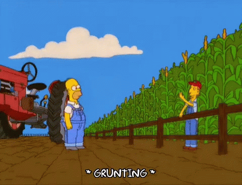 Homer Fail GIF - Homer Fail Simpsons GIFs