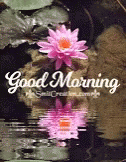Good Morning Water GIF - Good Morning Water Flower GIFs