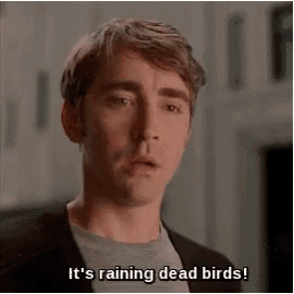 a man says it 's raining dead birds