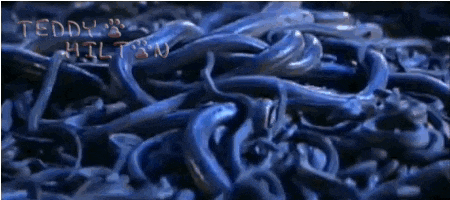 a pile of blue worms with the name teddy hilton written on the bottom