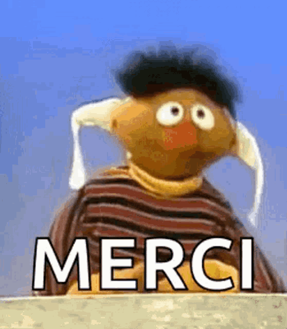 ernie from sesame street is wearing a scarf around his ears and saying merci .