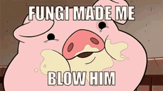 a cartoon pig with a caption that says fungi made me blow him
