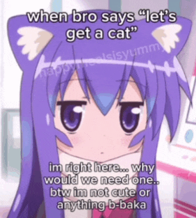 a picture of a girl with cat ears and a caption that says " when bro says " let 's get a cat "