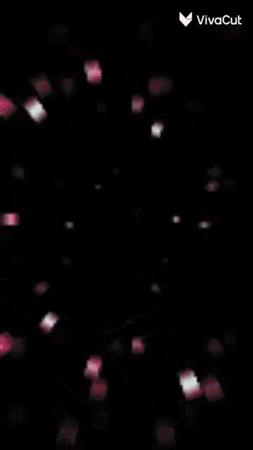 a blurry picture of a person 's face with the words vivacut in the bottom right corner