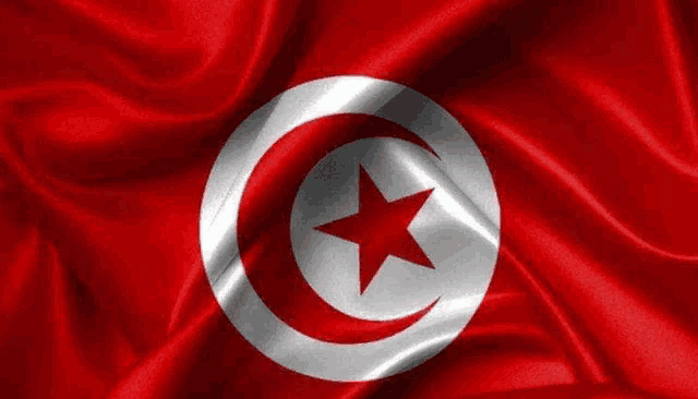 a close up of a flag with a crescent moon and star on it .