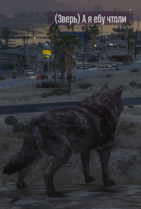 a wolf is standing in front of a sign that says ( зверь ) on it